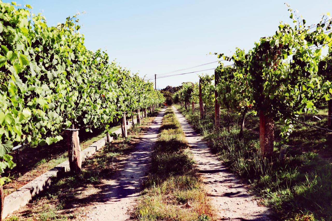 Vila Quinta De Real Valenca Exteriér fotografie